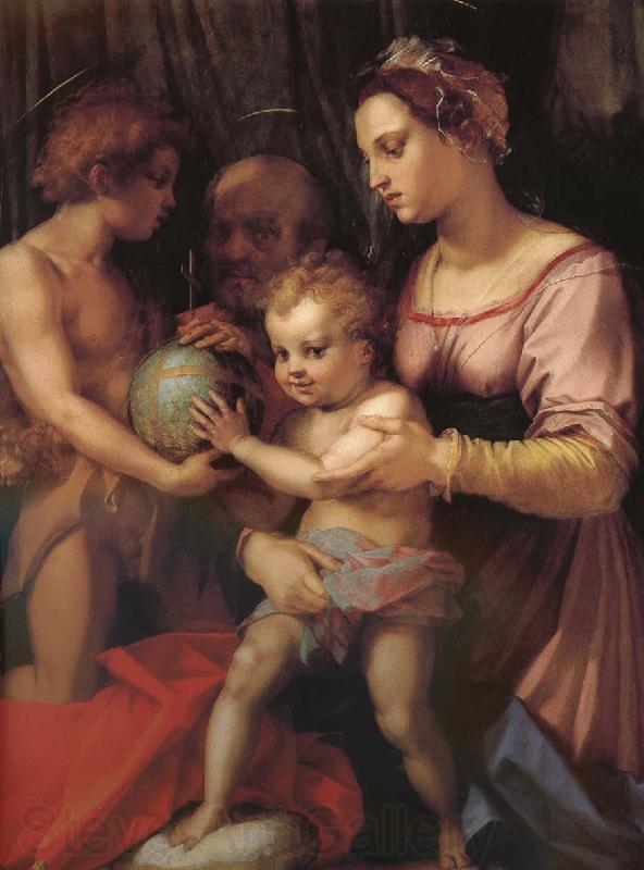 Andrea del Sarto Holy family and younger John France oil painting art